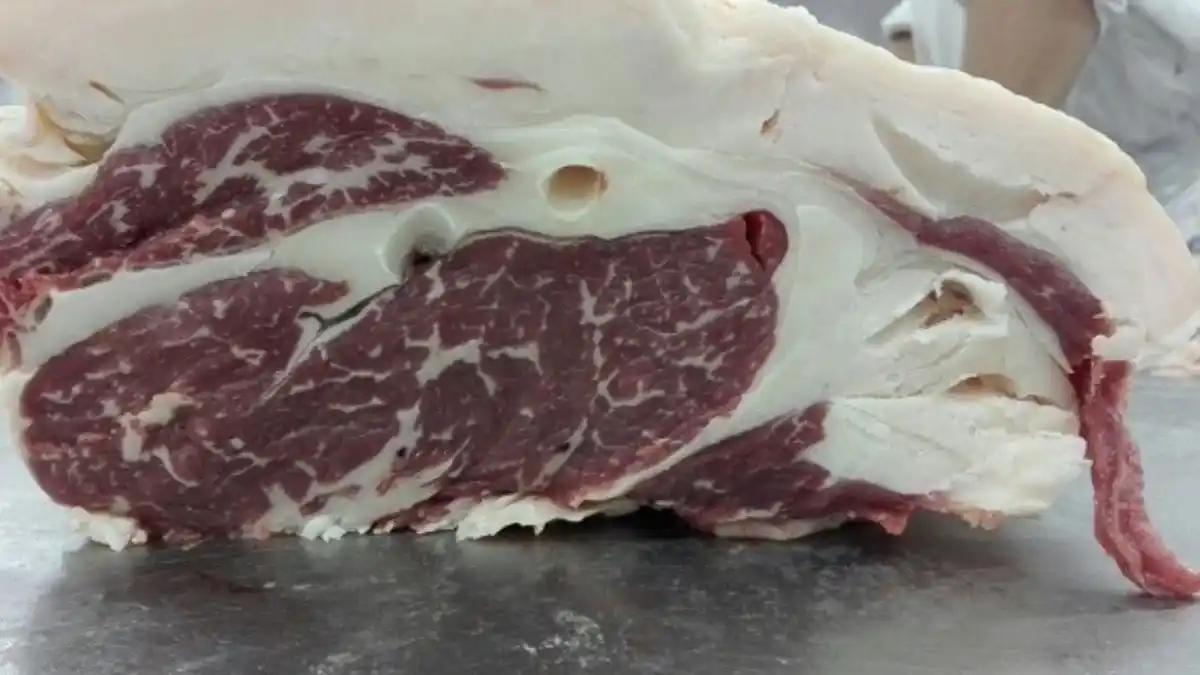 Así puedes hacer manteca de res: SUSTITUTO DEL ACEITE VEGETAL (+Video)