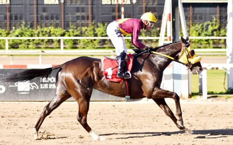 El Emporio va por la cuarta victoria al hilo en el Clásico Ayacucho (G3), en Palermo.