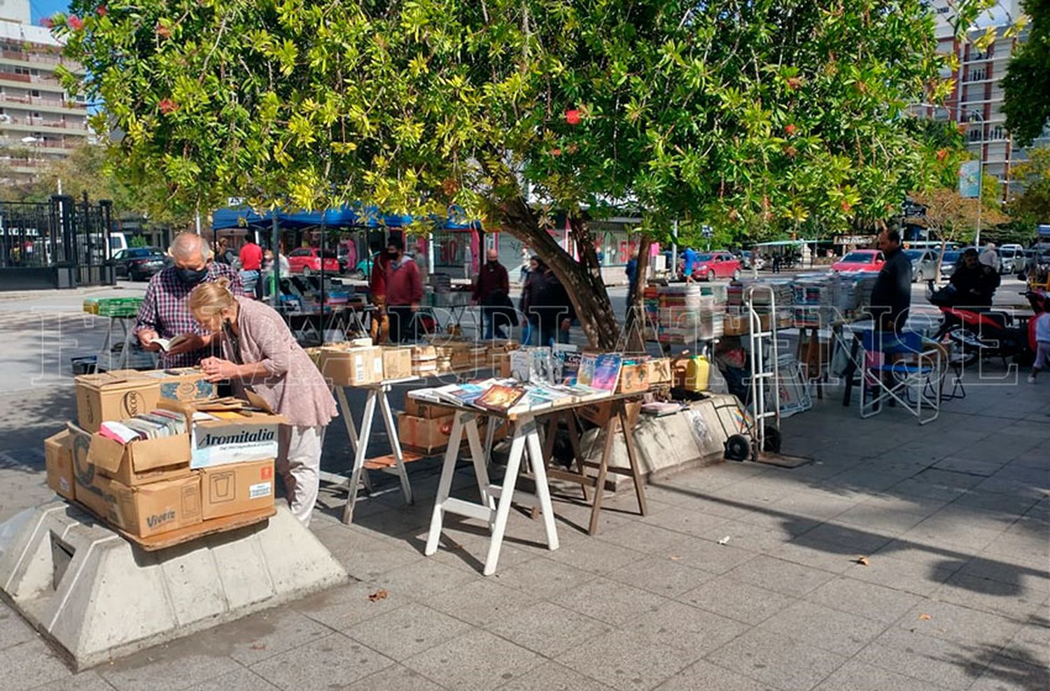 La tradicional feria de libros usados de la Catedral, otra víctima de la pandemia