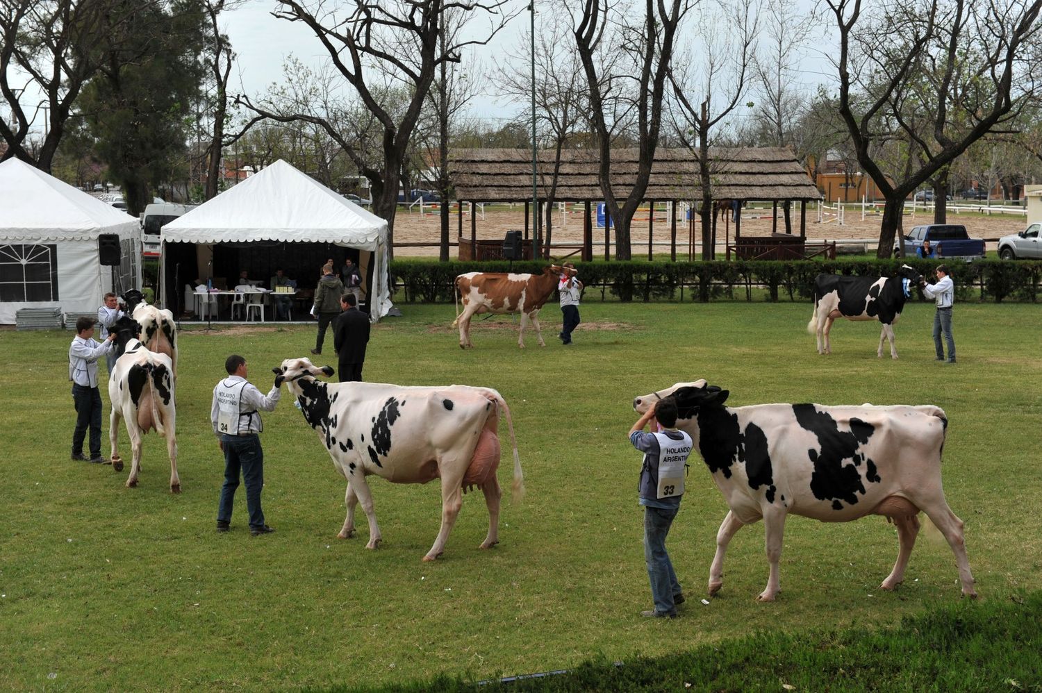 San Francisco Expone 2023 será sede de la Fiesta Nacional del Holando