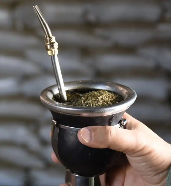 Los estudios científicos que comprueban los beneficios y derriban mitos sobre el mate