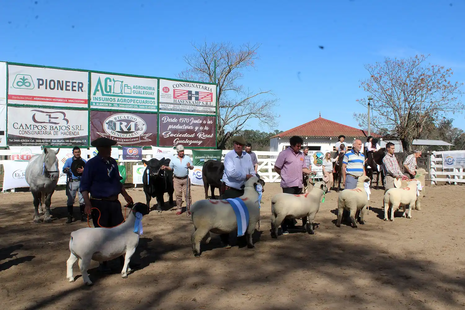 Justo García: “SENASA se ha convertido en una máquina de trabar la producción”