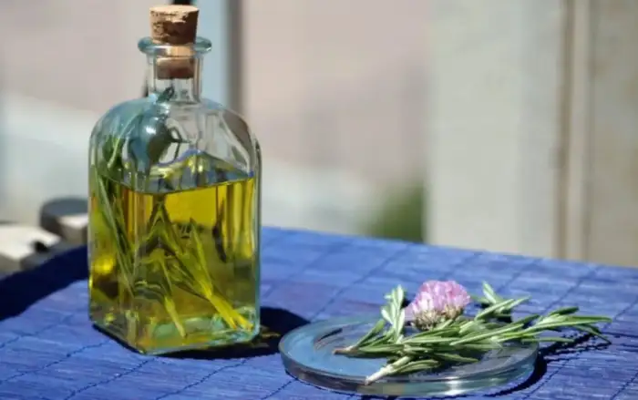 Según la creencia popular, beber caña con ruda atrae la salud, la buena suerte y la prosperidad, al tiempo que ayuda a alejar la envidia, los maleficios y las energías negativas.