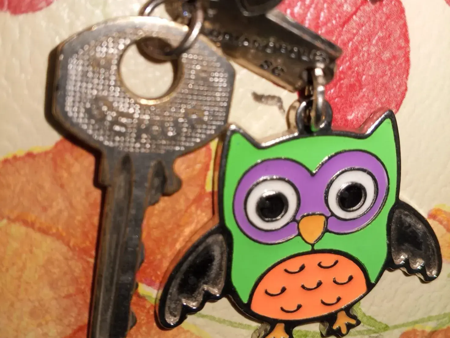 Susana encontró estas llaves