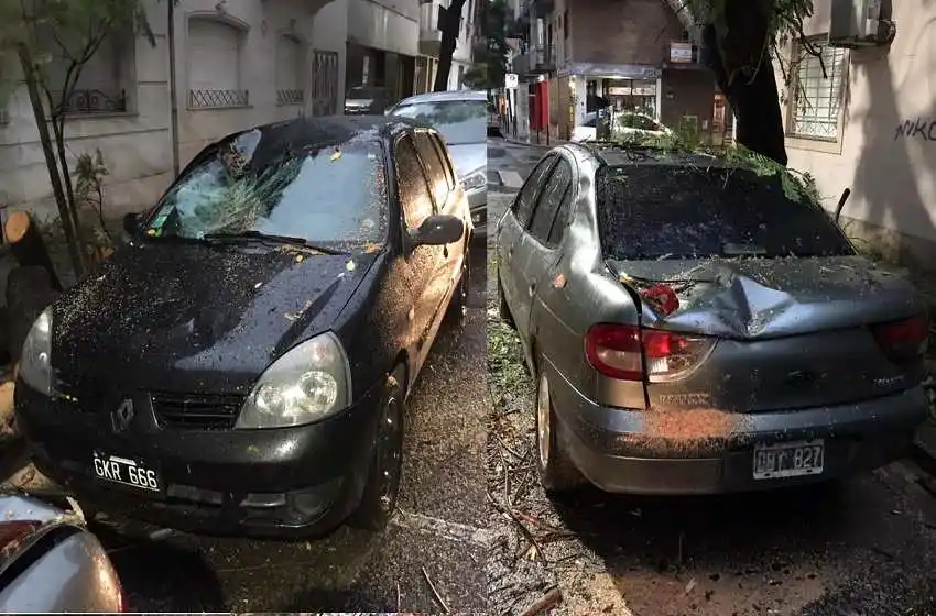 Dos autos sufrieron importantes destrozos al ser aplastados por ramas caídas