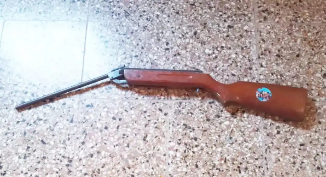 La muerte de un perro a manos de menores desata investigación policial