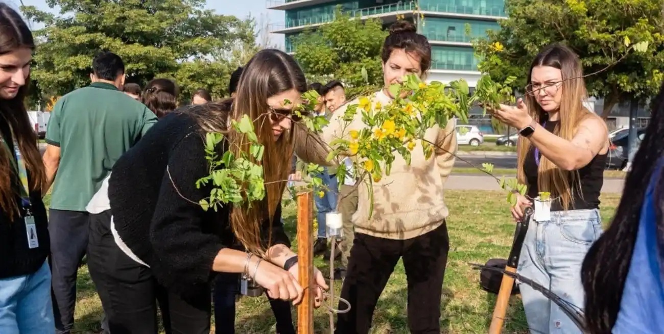 Desde 1901, cada 29 de agosto en nuestro país se celebra el Día Nacional del Árbol, conmemoración propuesta por el Dr. Estanislao Zeballos, resaltando la importancia de este recurso natural.