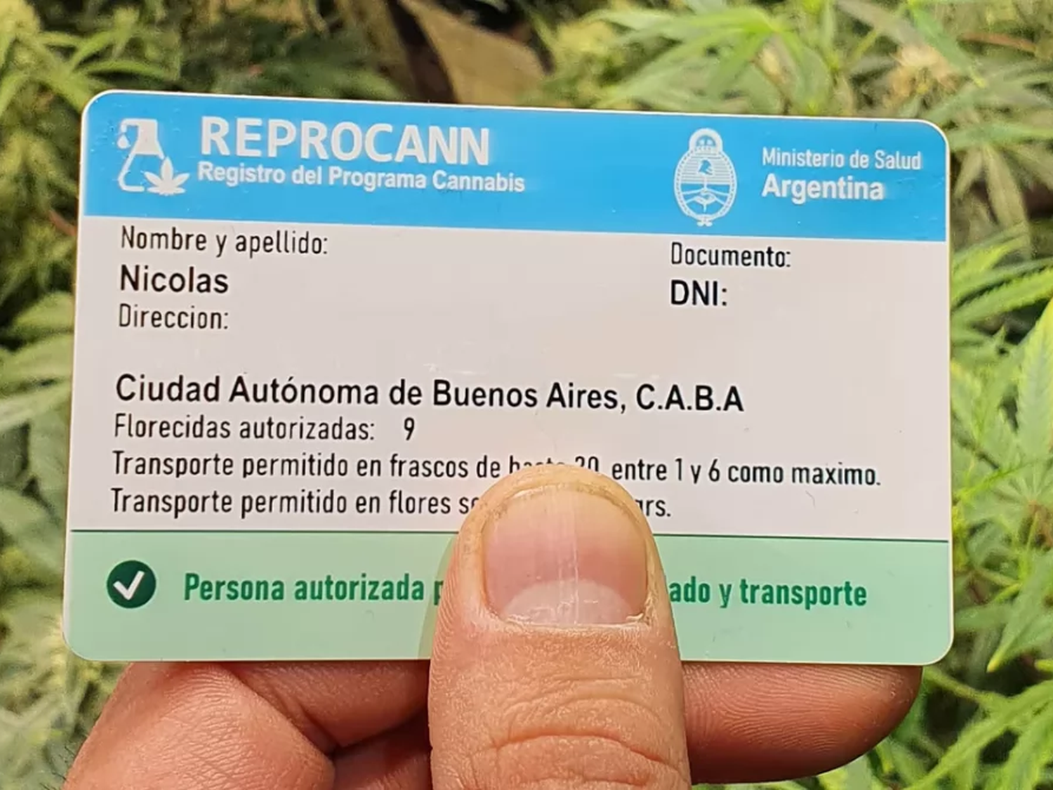 Reprocann 2025: ¿garantía de derechos o retroceso en el  al cannabis terapéutico?