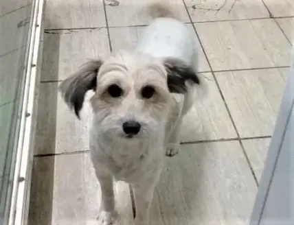Monona ya está en su casa