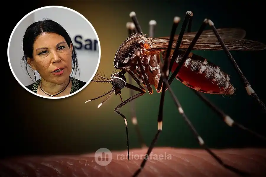 A seguir combatiendo el dengue: "No se confíen solo en la vacuna; deben usar repelente y descacharrar"