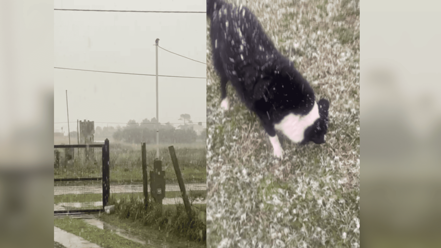 La nieve en El Marquesado sorprendió a los vecinos