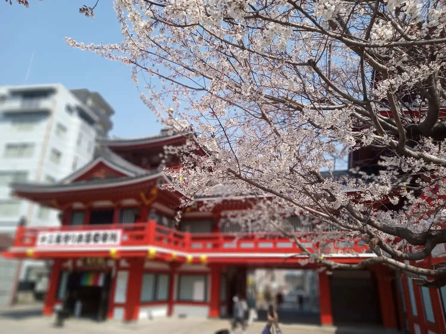 Nueva crónica desde Japón, paseando entre templos y una naturaleza fascinante.
