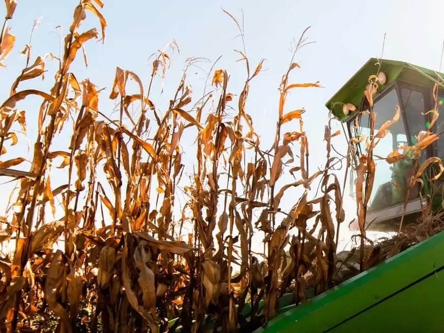 La campaña agrícola 2025/2026 en el área agrícola del Cono Sur se perfila con un potencial productivo elevado.