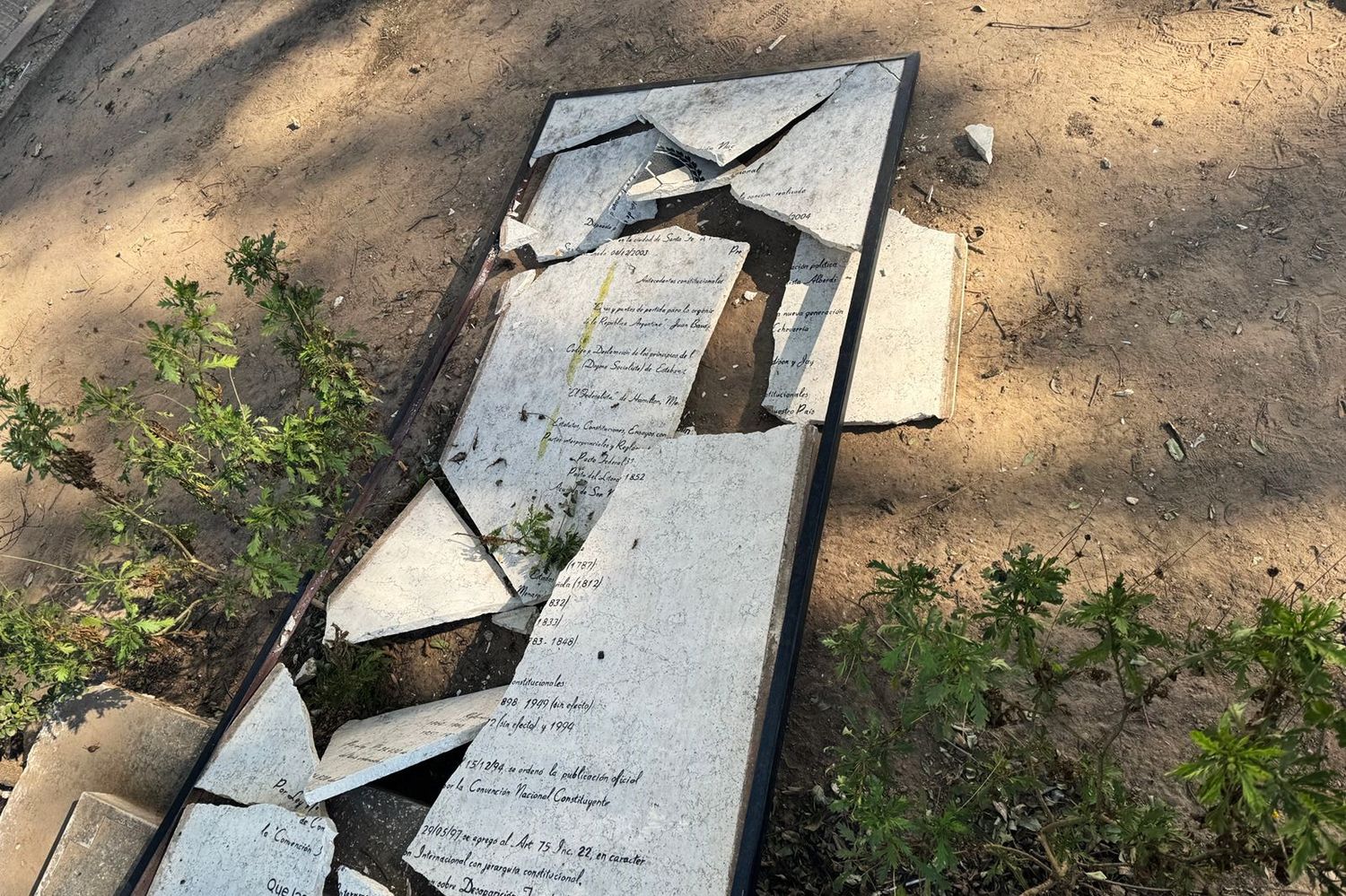 Se cayó arriba de un nene la placa de mármol de plaza Constitución: ¿qué dijo la gente?