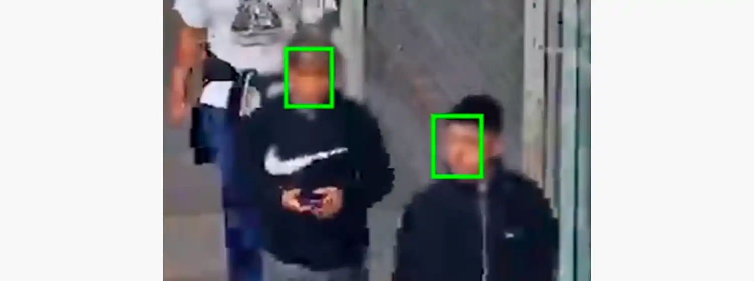 Reconocimiento facial: "La oposición sigue poniendo trabas"