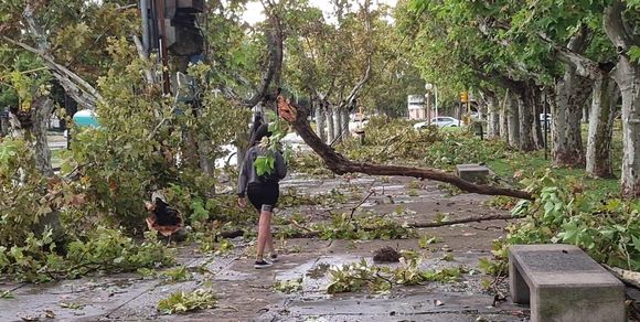 Milei destinó 4 mil millones de pesos para ayudar a los vecinos del sur santafesino afectados por las tormentas