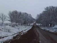 Argentina fue el país más frío del mundo durante la última ola polar