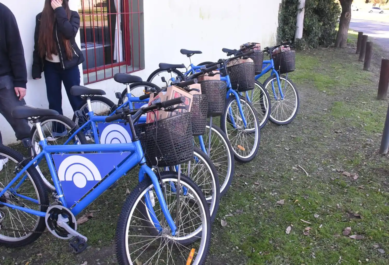 bicicletas públicas Municipio - 3