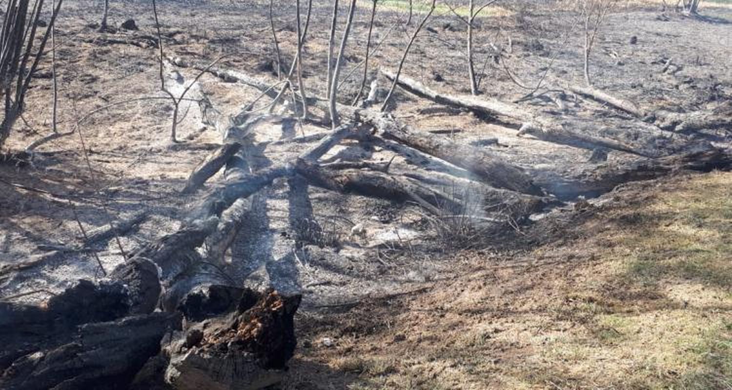 Incendio en el Paseo Público: No se reactivaron focos a la madrugada y no intervino Bomberos Voluntarios