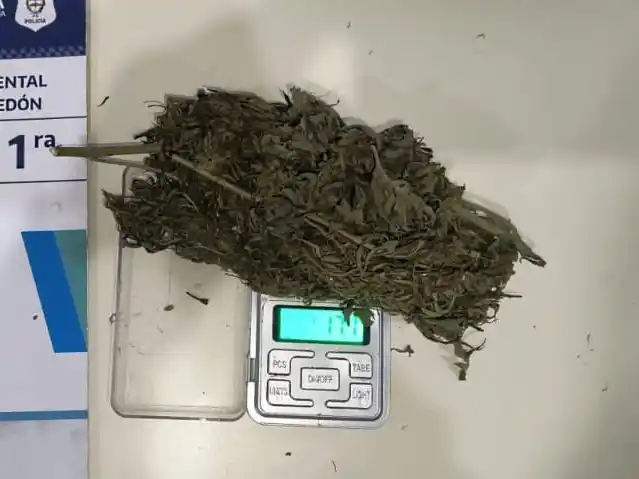 El pesaje total de la marihuana fue de 19,8 gramos.