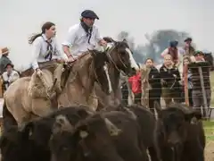 Últimos días para inscribirse al Aparte Campero