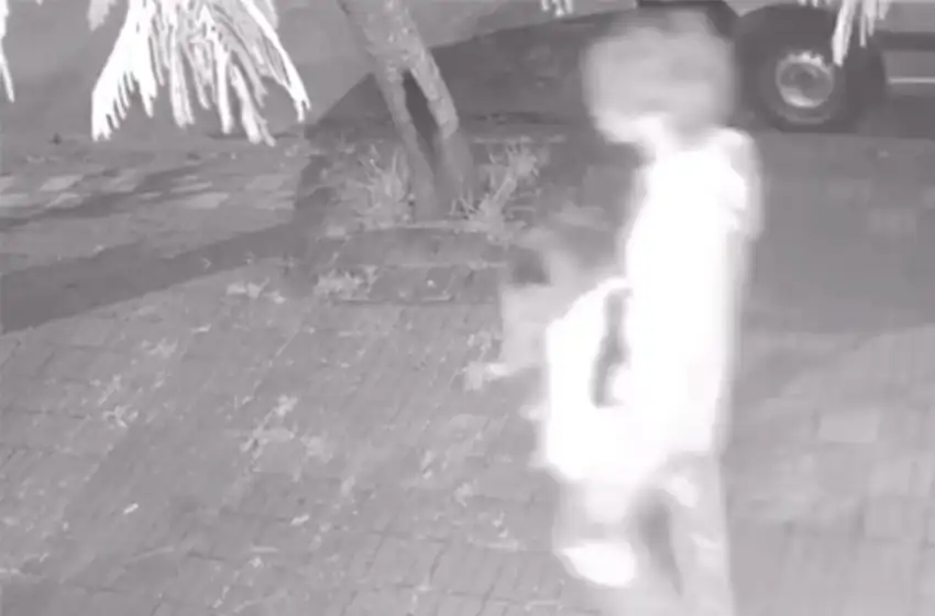 Horror en Parque Luro: investigan al menor que habría asesinado animales en el barrio