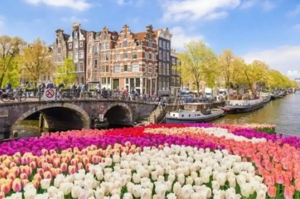 Los Países Bajos aprueban limitar a un 1% las subas de alquileres por tres años