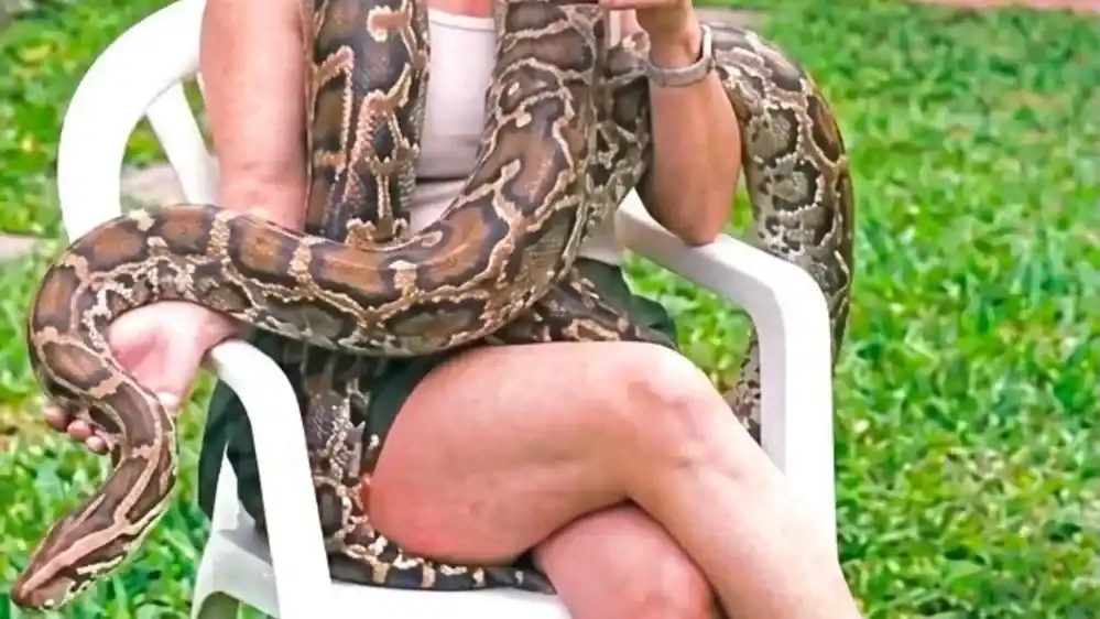 La familia explicó que convive con la serpiente desde hace muchos años, cuando medía cerca de dos metros, y destacó que se trata de un ejemplar "dócil".