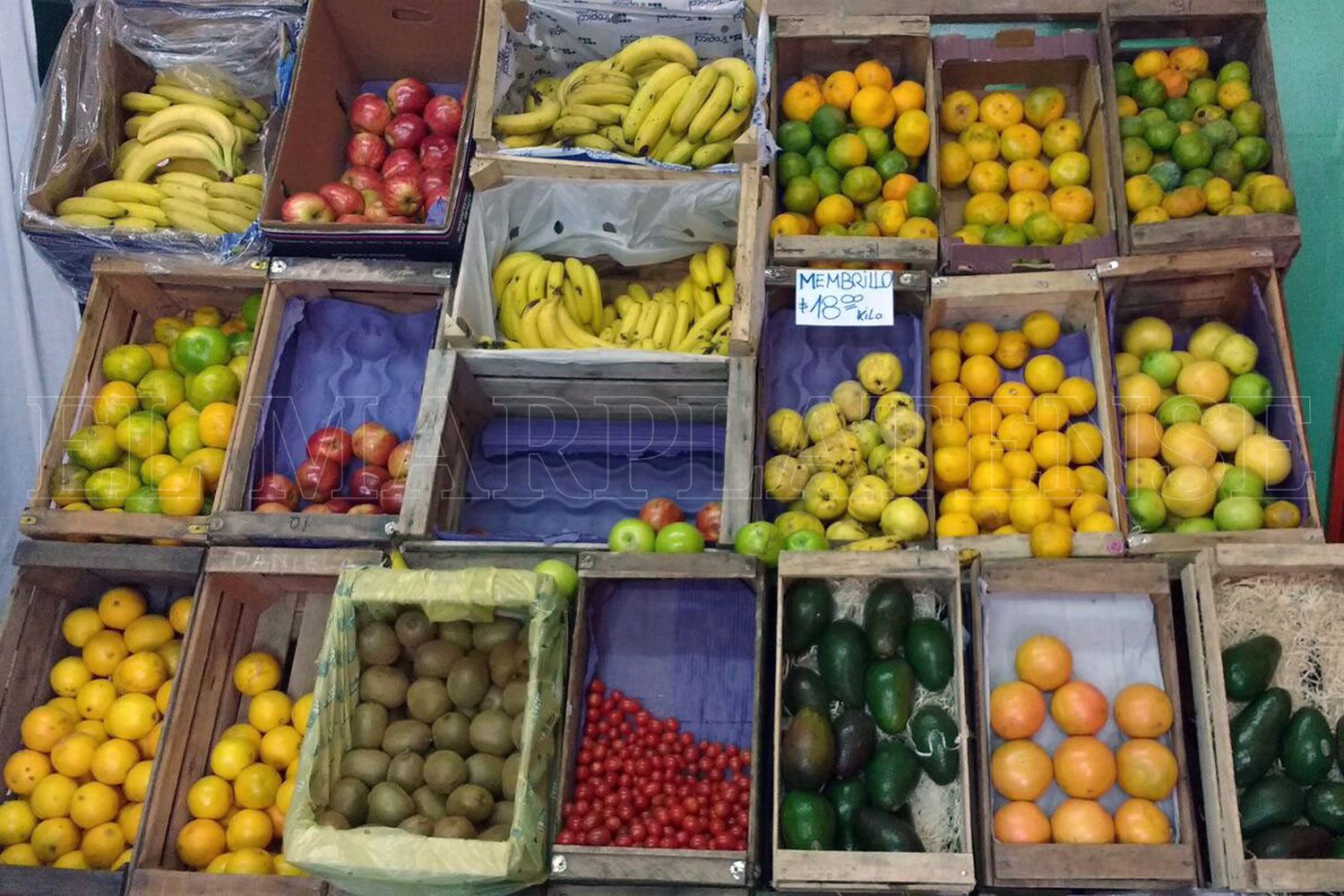 En el Mercado de Abasto reconocen bajas de precios de hasta el 60%