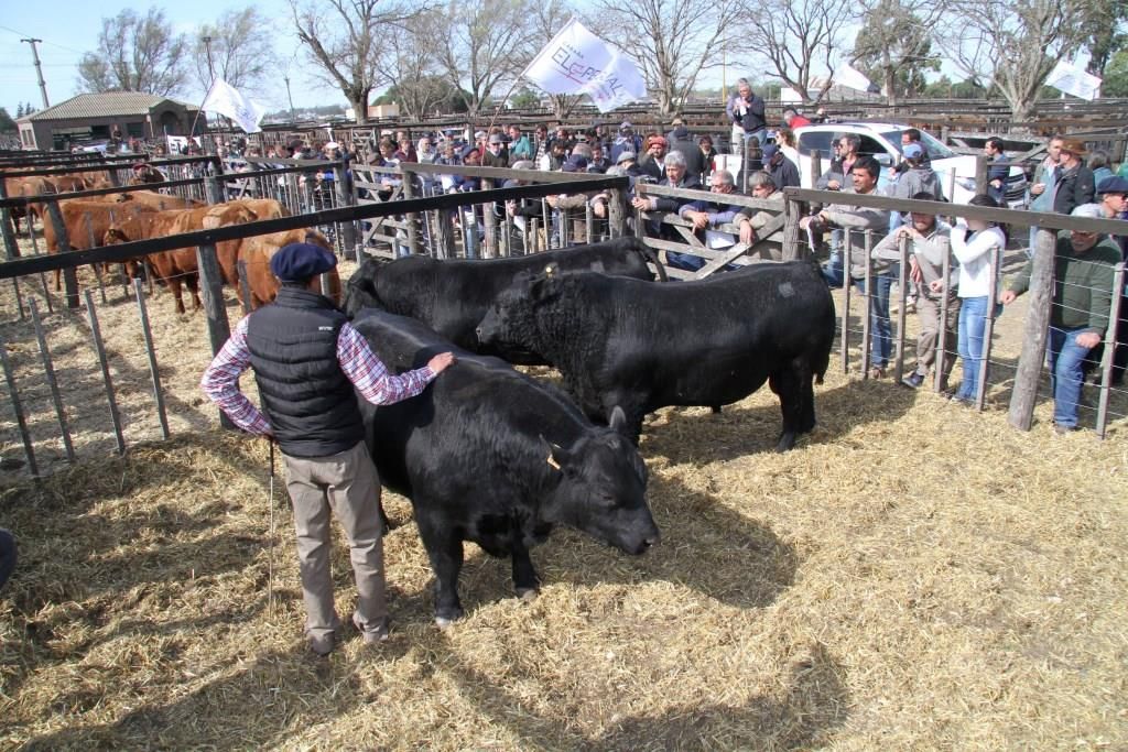 Se viene la sexta edición de “De productores para productores”