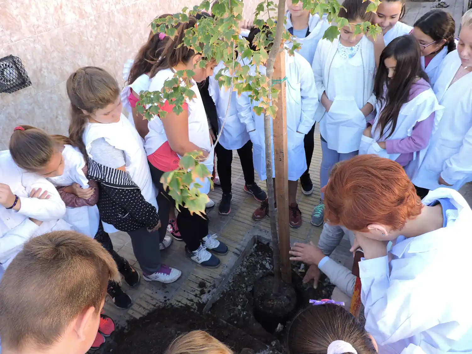 Actividad de concientización y plantación de árboles en la Escuela Primaria 58