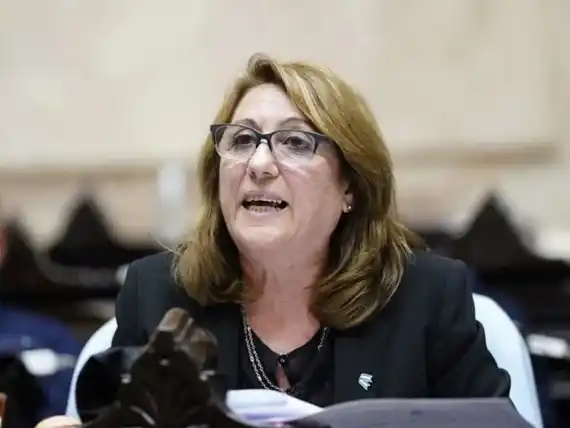 Constituyeron la comisión investigadora del fentanilo con tres mujeres a la cabeza
