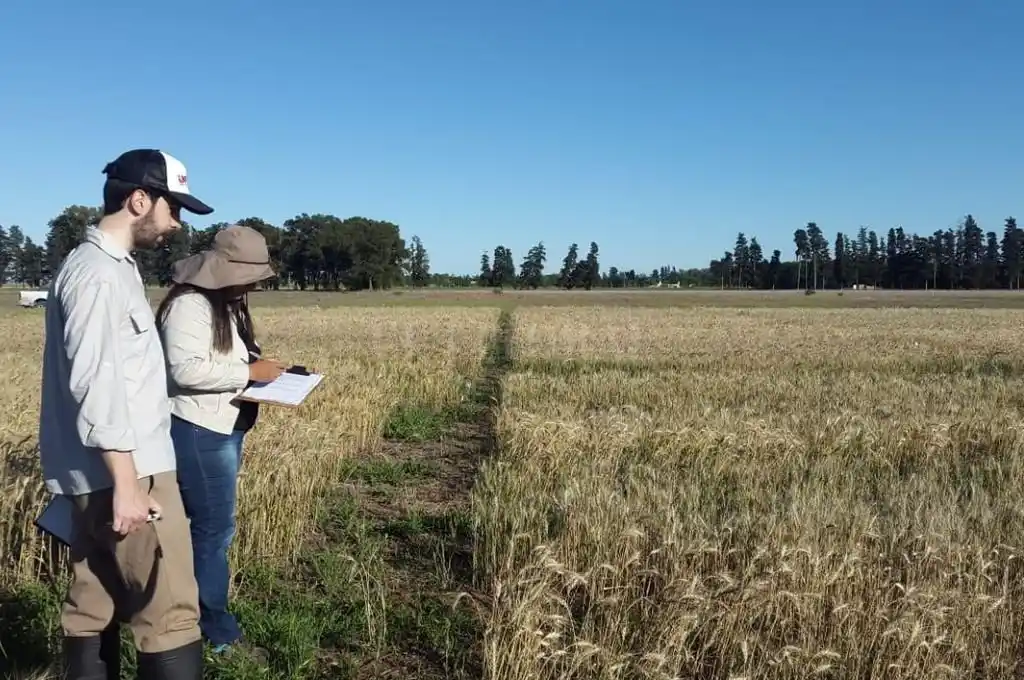 Se reactiva la inscripción de nuevas variedades vegetales