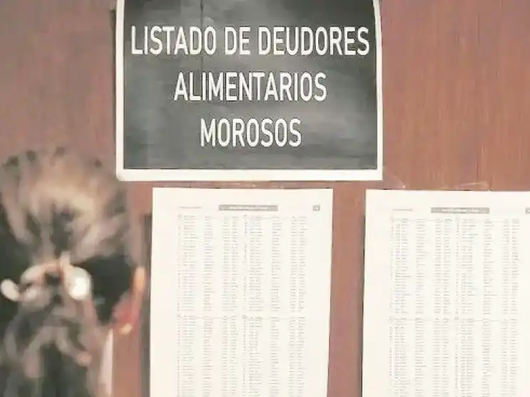 Obtuvo media sanción el proyecto que propone excluir a deudores alimentarios de espectáculos deportivos