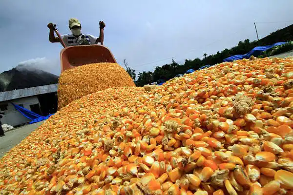 No basta producir alimentos: hay que transformar el sistema alimentario
