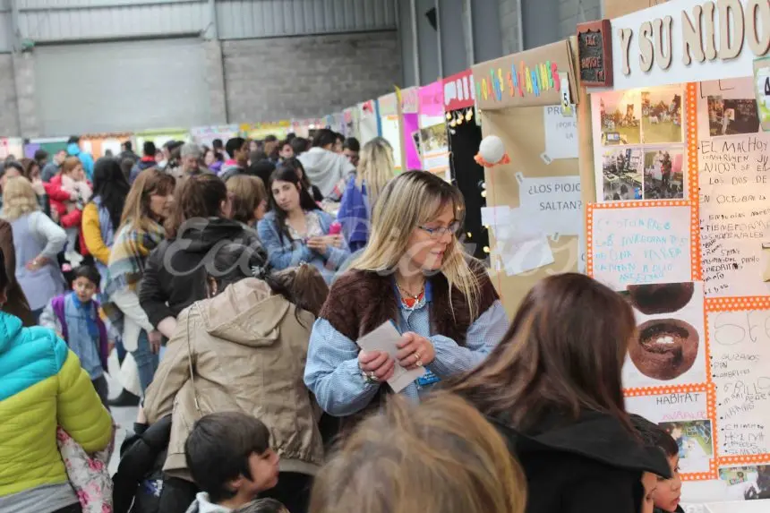 Buena participación en la Feria de Ciencias