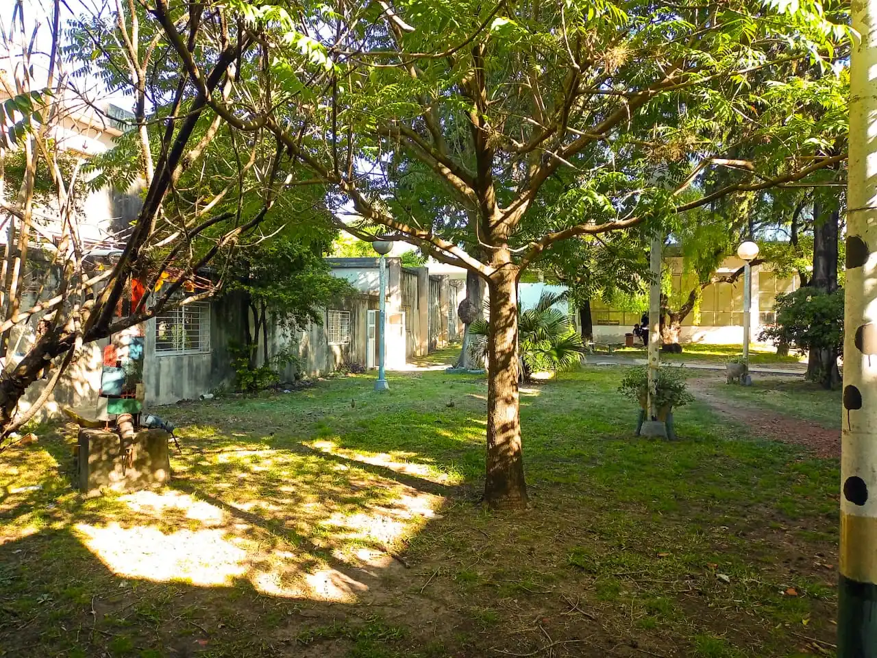 Revalorizan la labor de la única guardia activa en salud mental en Entre Ríos