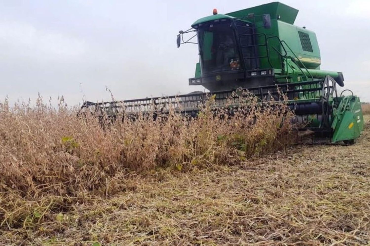El informe trimestral de Fada mide qué porcentaje de la renta agrícola se destina al pago de impuestos nacionales, provinciales y municipales.