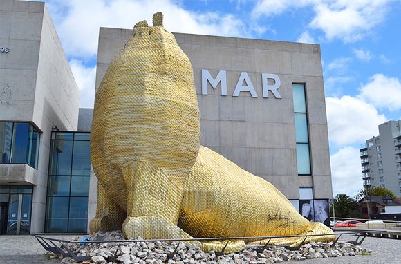 Vuelve al Museo MAR el Festival Campo, con el objetivo de “romper con lo establecido”