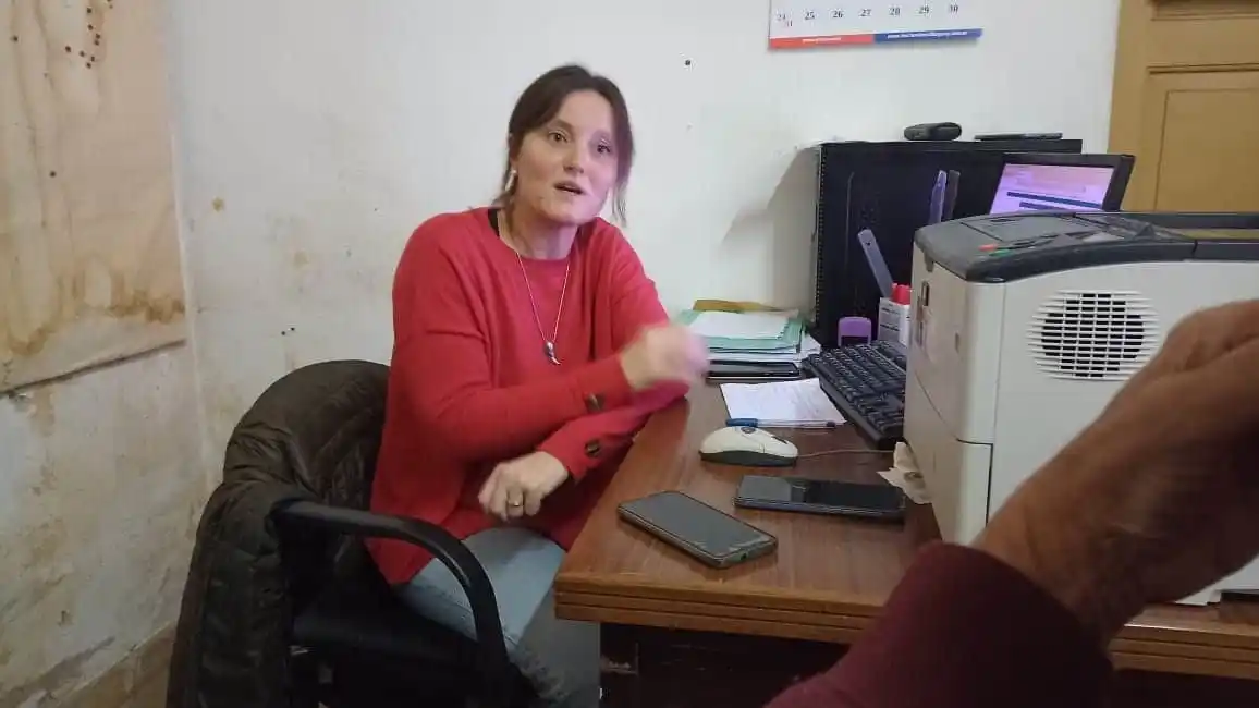 Supera los 170 mil la cantidad de bovinos en el departamento Victoria