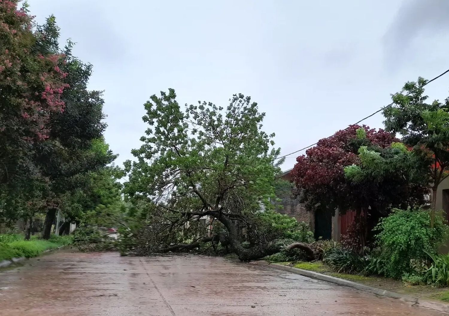 Tormenta en San Javier: Despliegue de recursos para mitigar daños y restablecer servicios