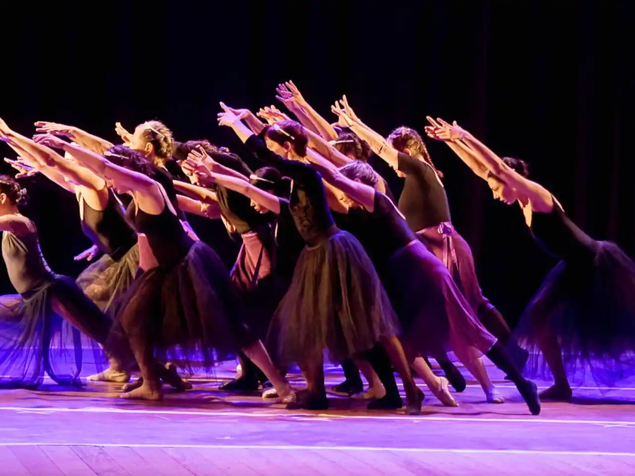 Difundieron las propuestas seleccionadas del primer Encuentro Entrerriano de Danza