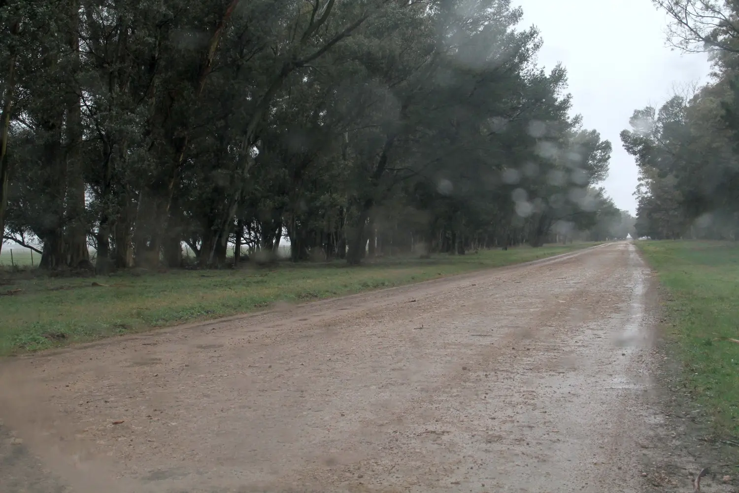 Las lluvias y el alivio fueron generales