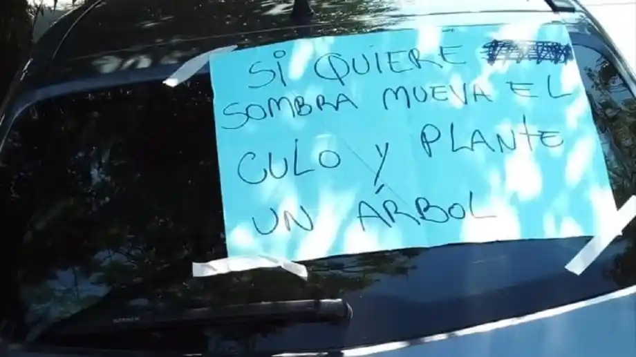 Viral: “Si quiere sombra, mueva el culo y plante un árbol”