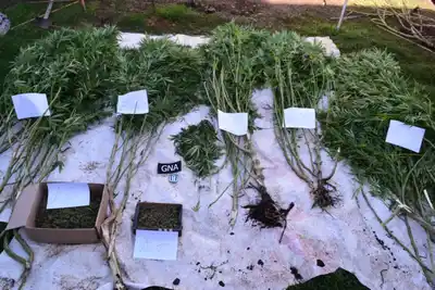 Condenaron a cinco años de prisión a un vendedor de droga de Villa Cañás