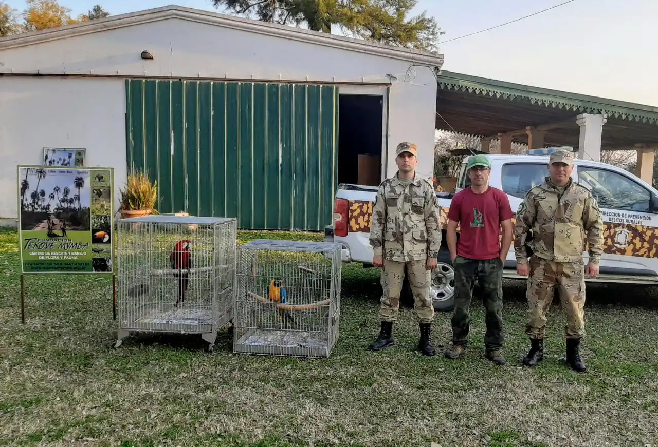 Más de 2000 vecinos firmaron una petición para que devuelvan los guacamayos