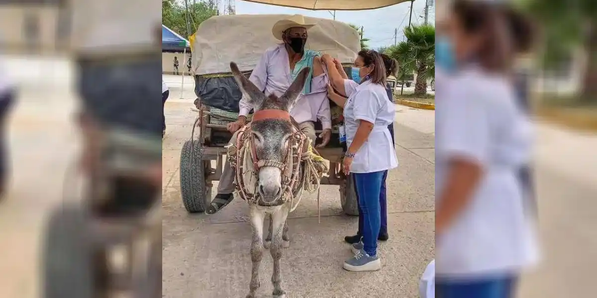 “Don Chalo”, llegó en burro a vacunarse contra el Covid-19