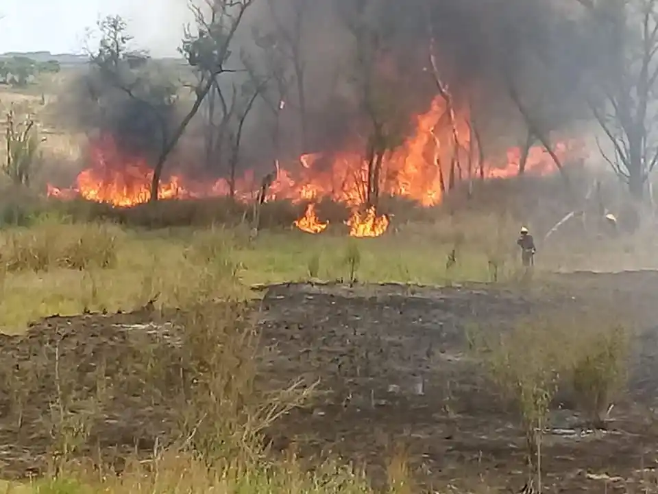 Continúa activo un foco ígneo en islas del Delta