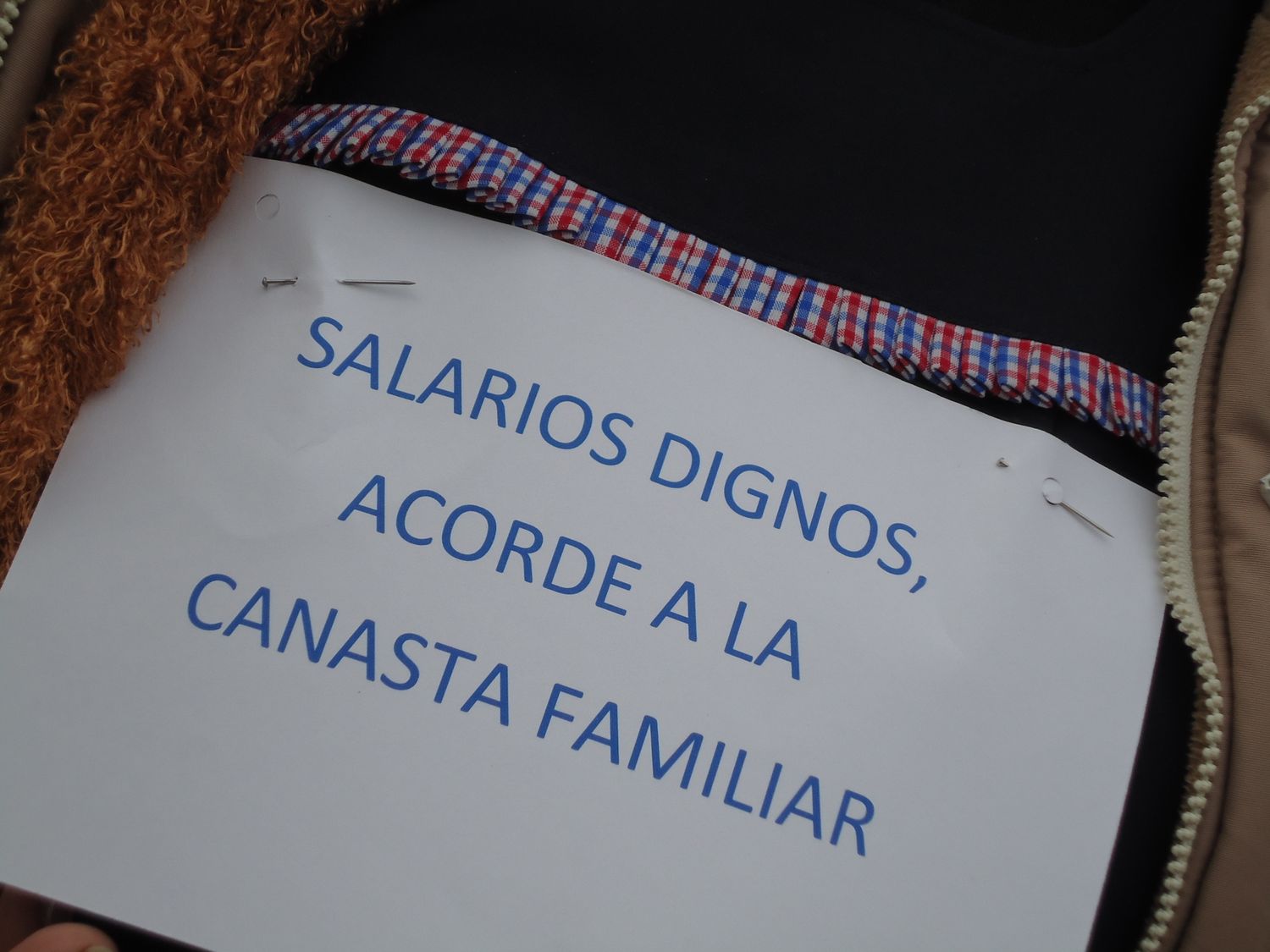 “la paritaria nacional sirve no sólo para fijar el piso salarial sino que se discuten otras cuestiones importantes»