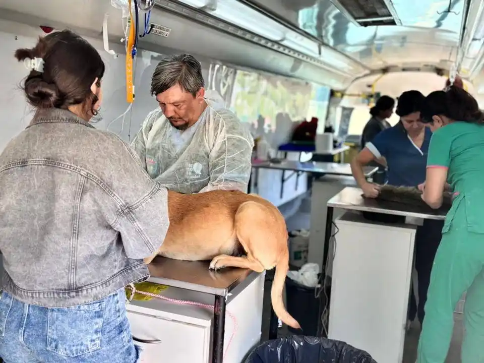 El Castramóvil municipal se trasladará el próximo martes al B° 28 de Junio